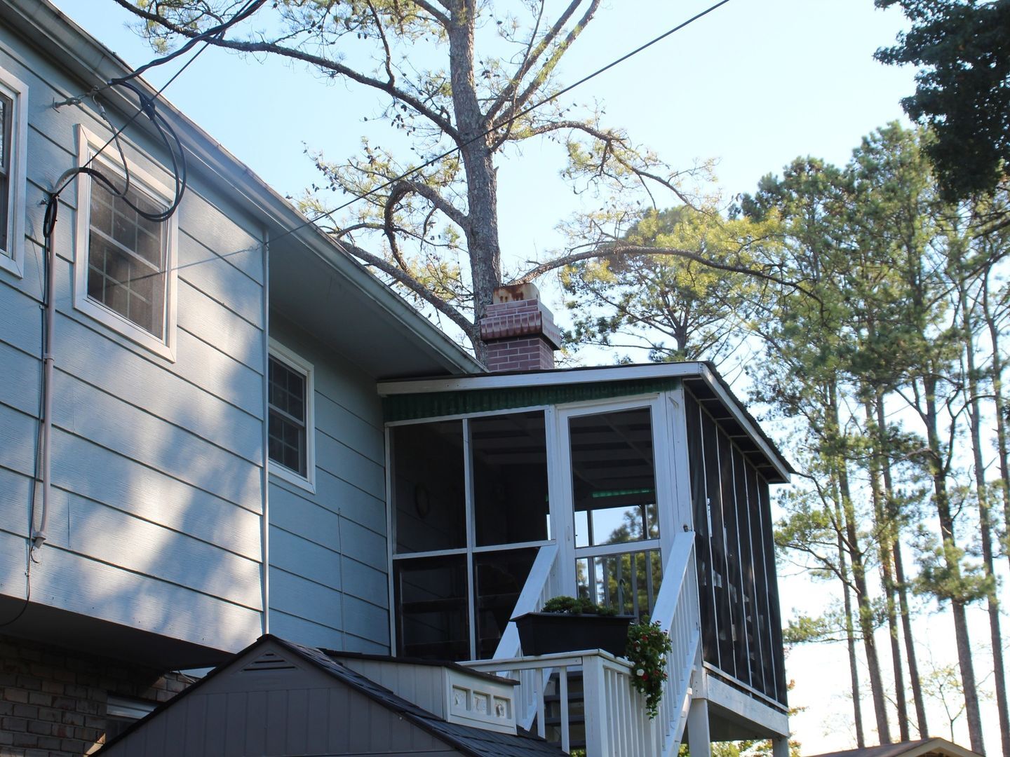 Building Photo - 8626 Surry Cir