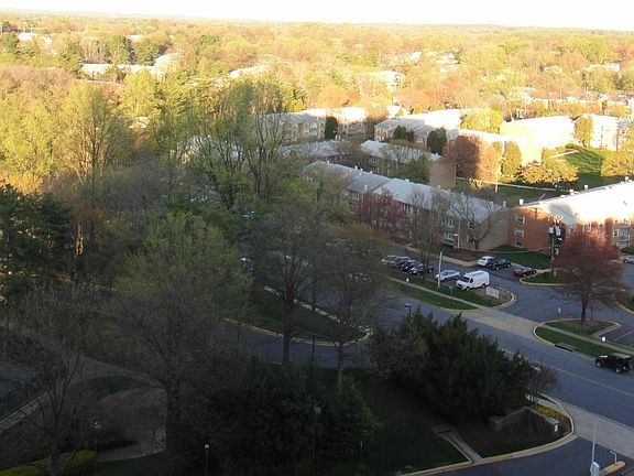 View in Fall - 1800 Old Meadow Rd