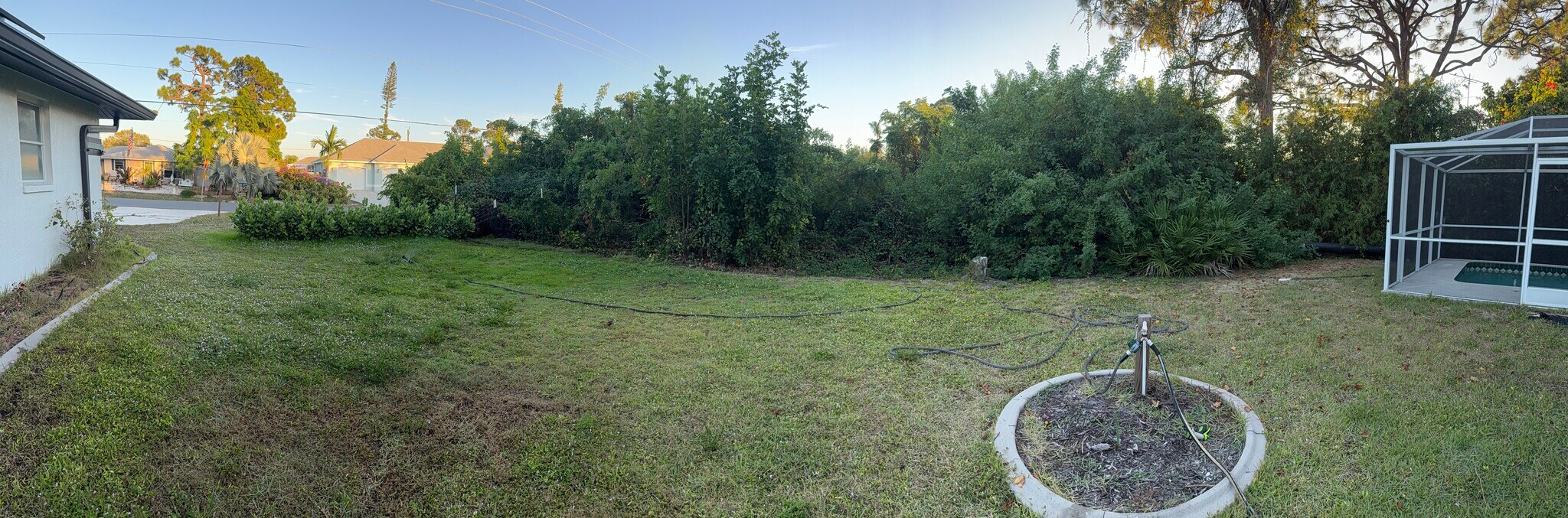 Side Yard (will be fenced in soon) - 5780 Osprey Rd