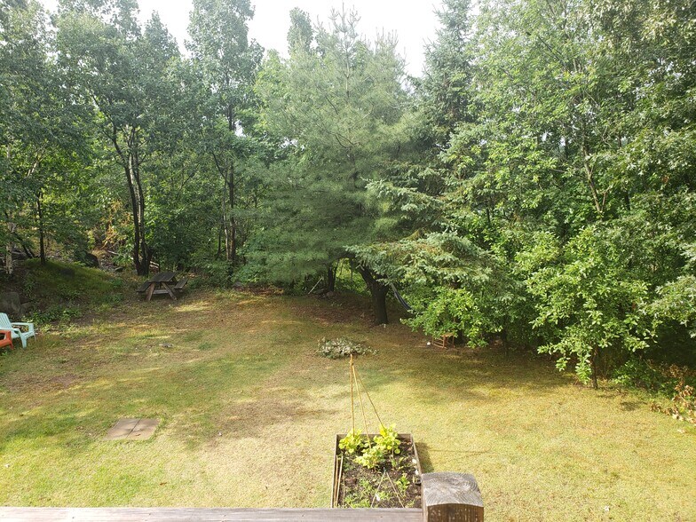 Yard surrounded by conservation land. - 25 Pinehurst Rd