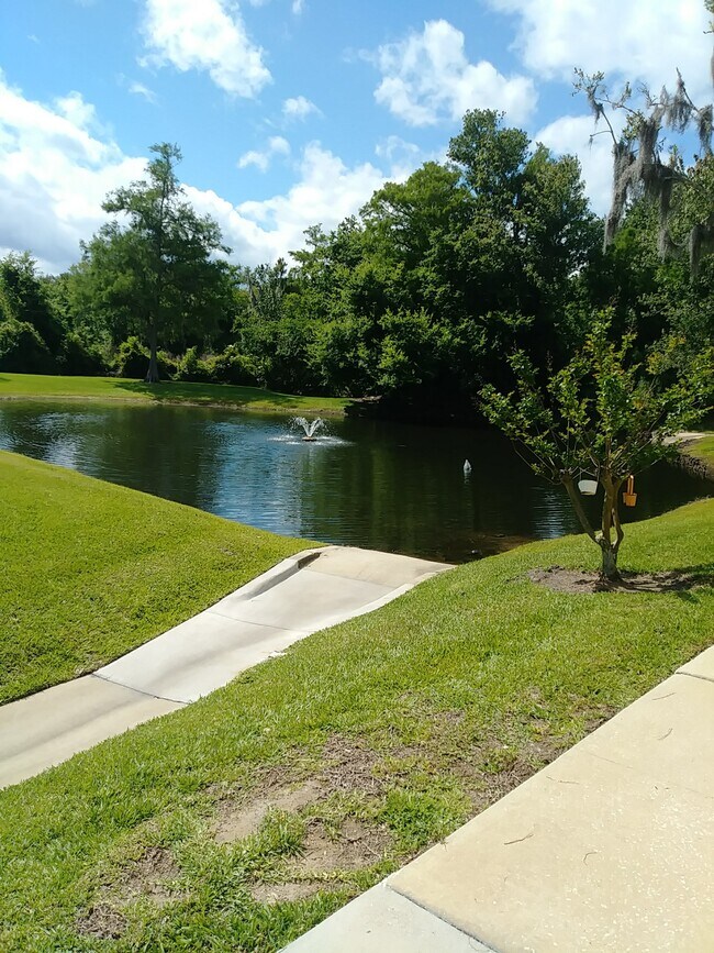 Building Photo - 1601 Big Tree Rd