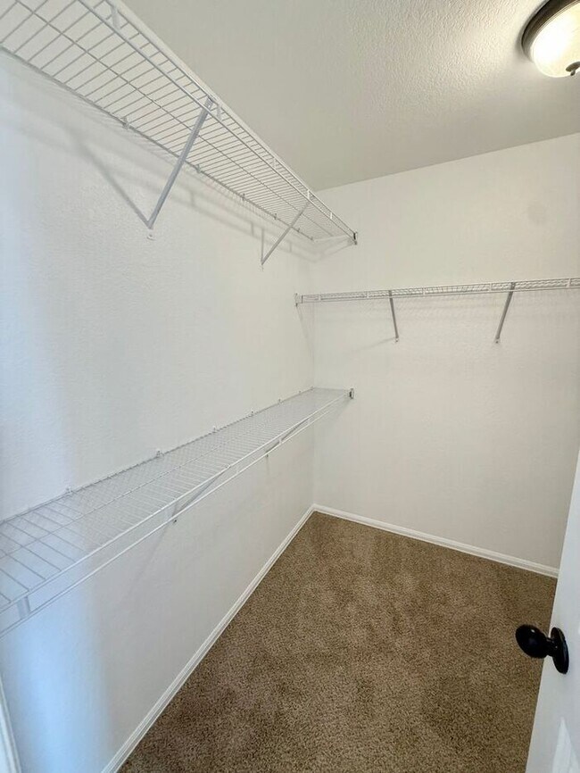 Building Photo - Move-In Ready Ranch in Wellington with Fresh Updates