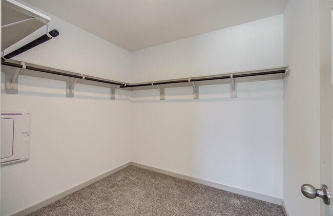 Building Photo - 14543 Rain Tree Dr