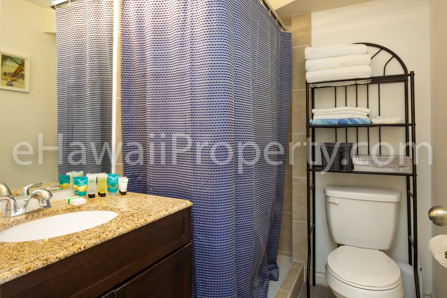 Remodeled bathroom - 444 Niu St