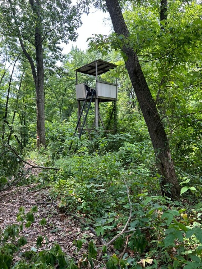 Building Photo - 23120 Bates Rd