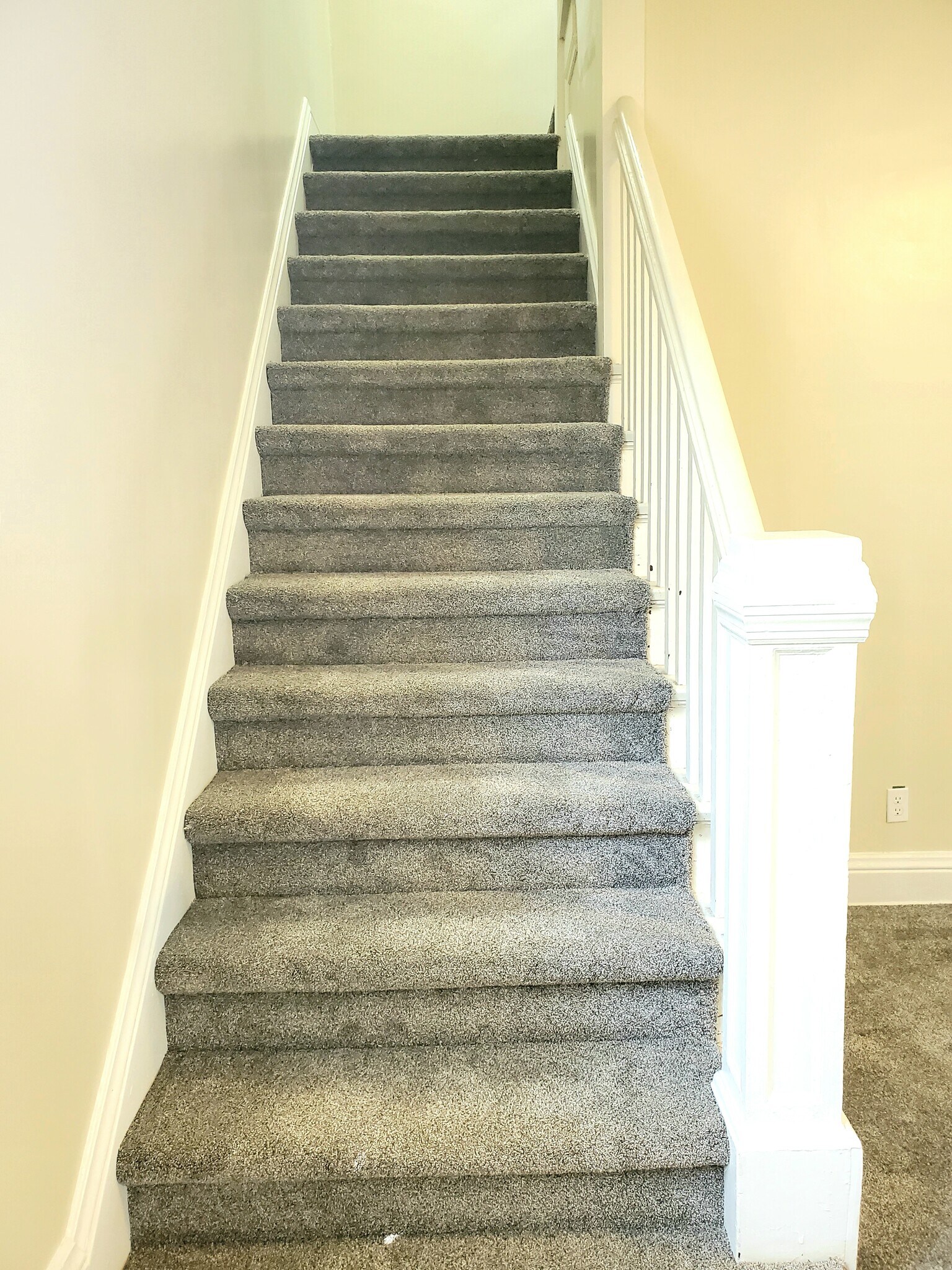 Building Photo - 3560 Jones St