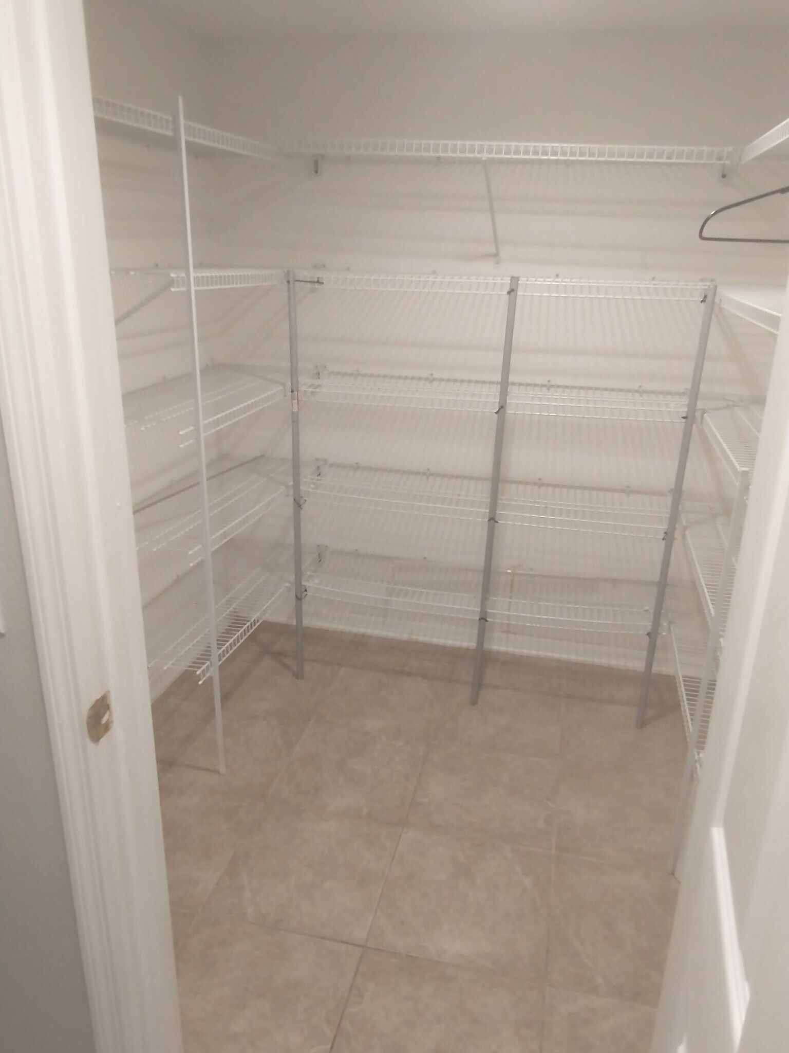 Large Walk In Storage Pantry Next To Kitchen - 1049 Tawny Eagle Dr