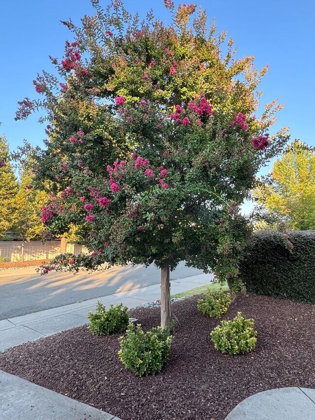 Building Photo - DEL WEBB 55+ Home For Rent!