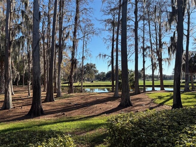 Building Photo - 36750 US Hwy 19 N