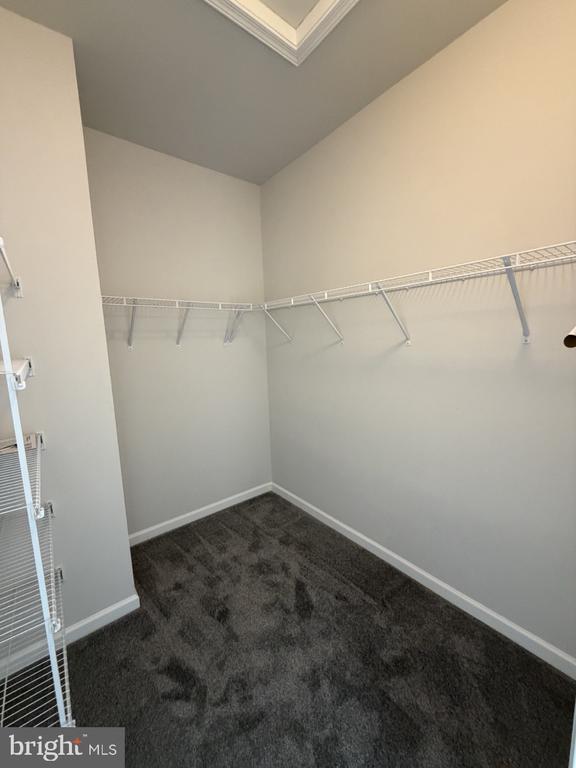 Building Photo - 146 Galaxy Pl