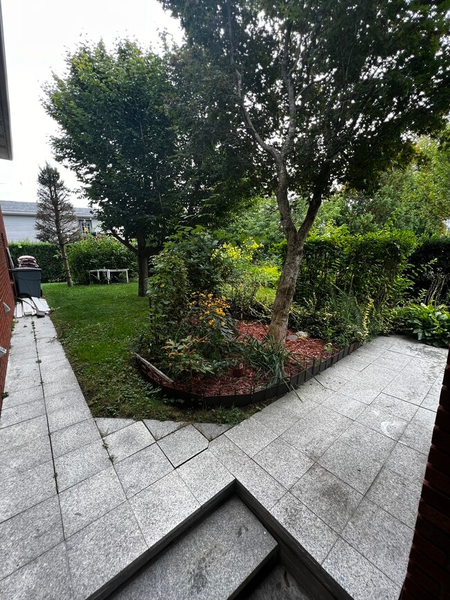 View from the back door to background - 675 Central St