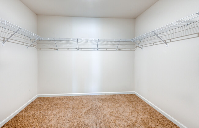 Large walk-in Master closet - 223 Marathon Ln