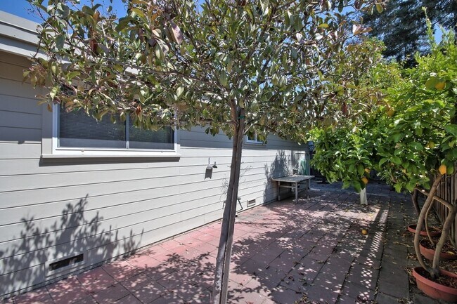Building Photo - 127 Dalma Dr