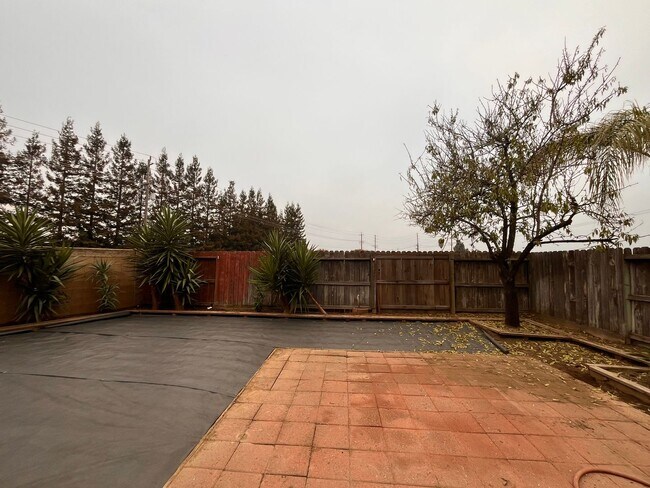 Building Photo - Near Kaiser/Pelandale