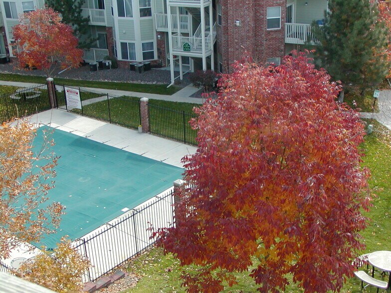 pool - 2430 W 82nd Pl
