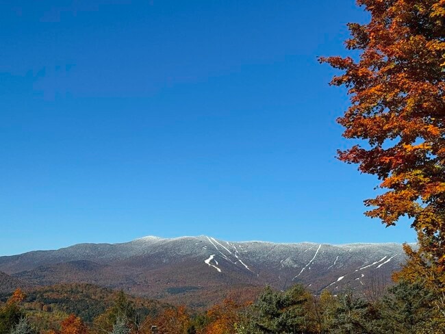 Building Photo - 458 Cider Mountain Rd