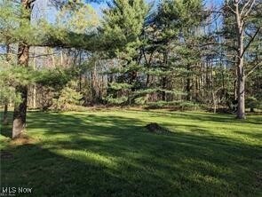 Building Photo - 17802 Rapids Rd