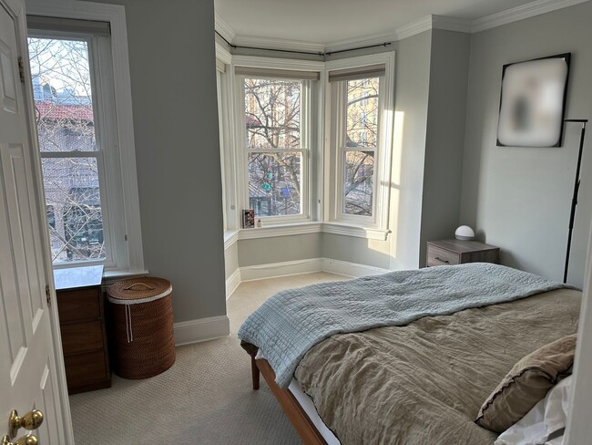 Building Photo - 2 Bedroom 1.5 Bath Condo in Shaw Neighborhood, Backyard, Recently Renovated, Fabulous Modern Feat...
