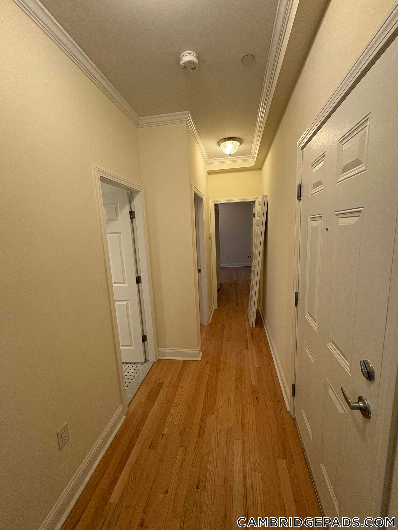 Building Photo - 65 Langdon St