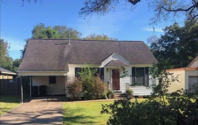 Primary Photo - 3 Bed, 1 Bath House in Nederland!