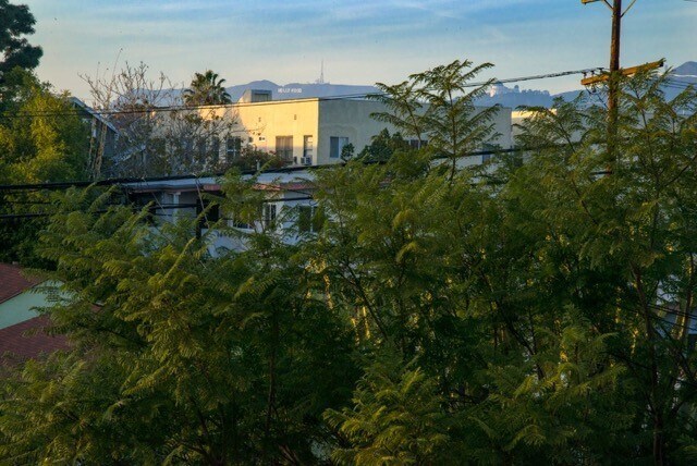 View of Hollywood sign and observatory from deck - 1014 1/4 Hyperion Ave