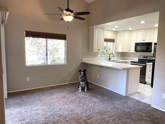 Dining room area, pup not included! - 11231 Avenida de los Lobos