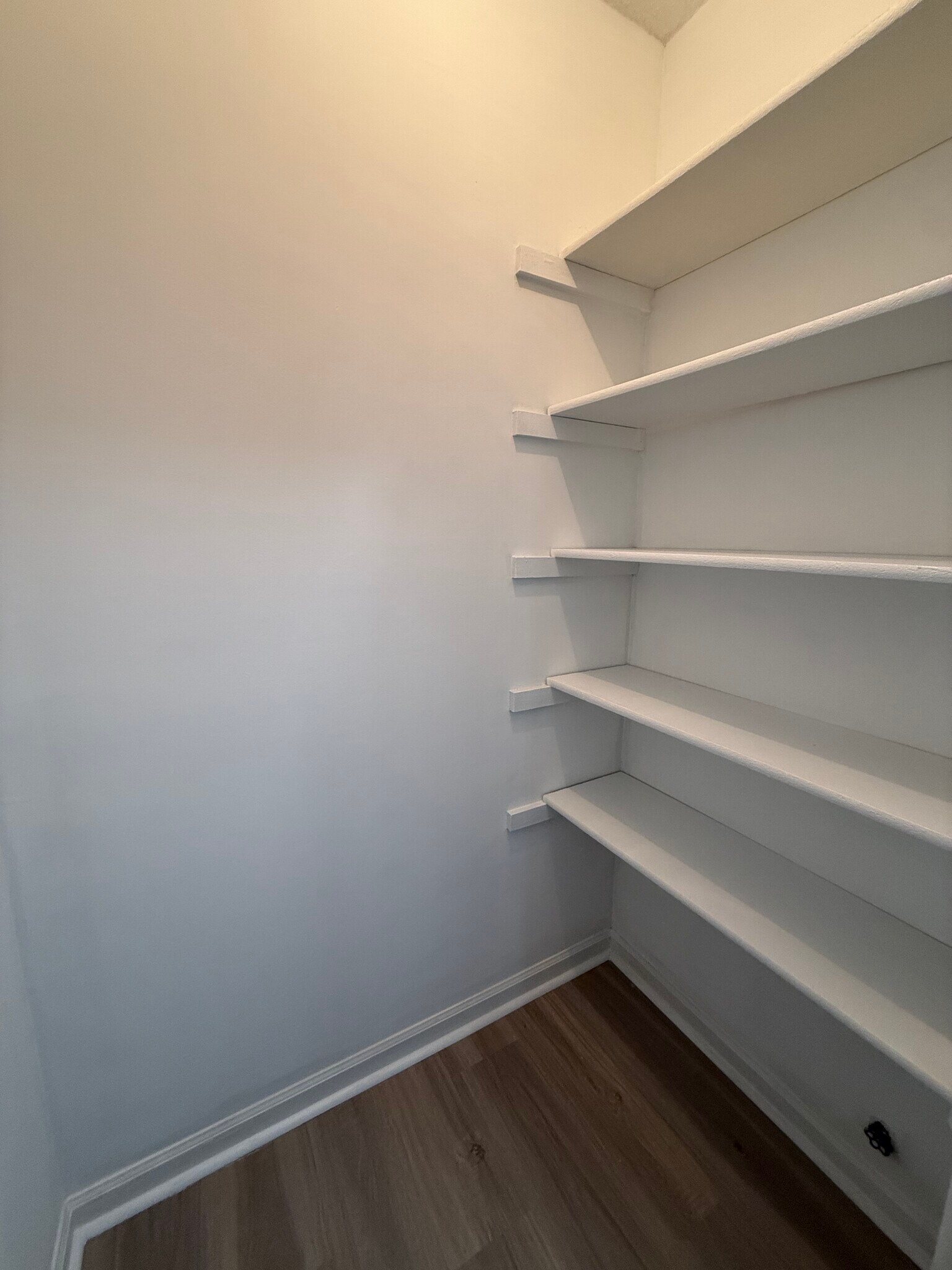 First Storage Closet - 908 S Lexington Ave