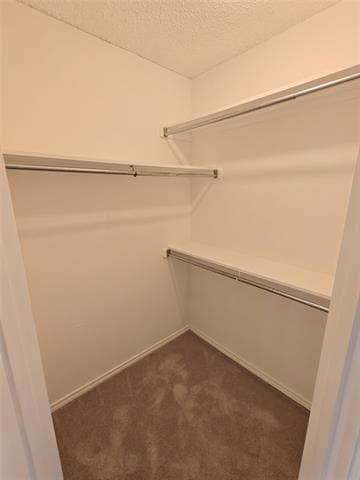 Building Photo - 4108 Mesa Dr