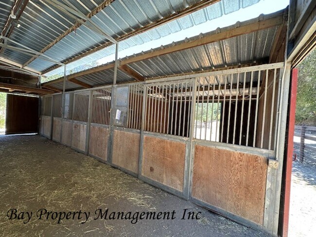 Building Photo - Unique Carmel Valley Horse Property!