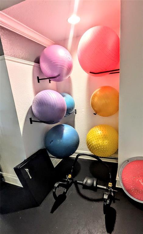 Building Photo - 1064 N Tamiami Trl