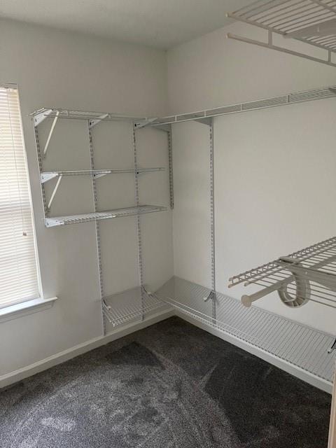 Building Photo - 1102 Cotton Gin Dr