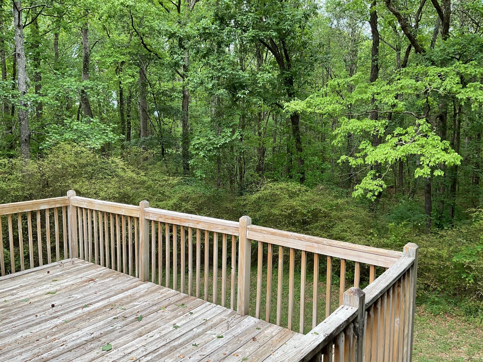 Building Photo - 222 Shadow Wood Dr