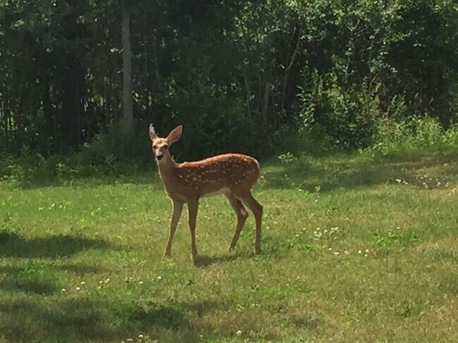 Building Photo - 12 Peregrine Way