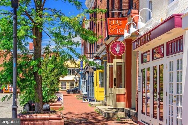 Building Photo - 19 S Ann St