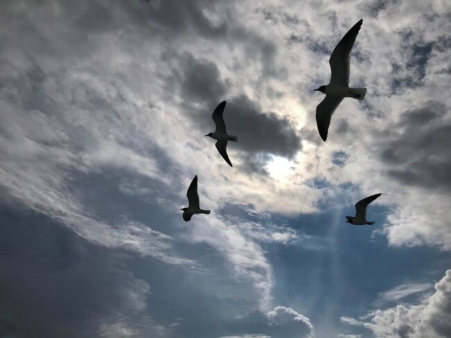 Building Photo - 46 S Bay Ave