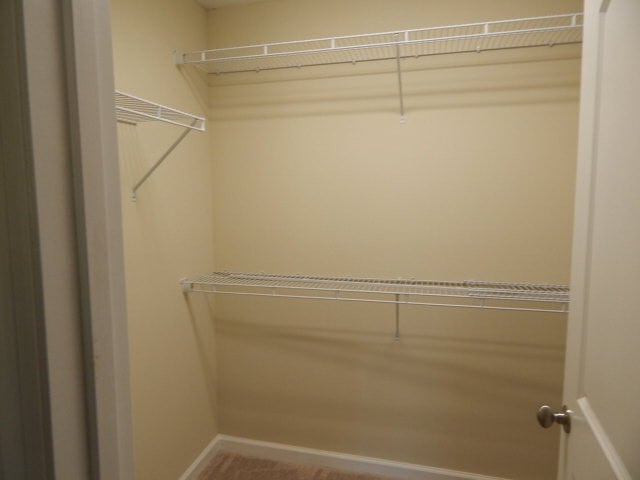 Building Photo - 203 Bobwhite Dr