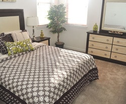 Spacious Bedroom - COLLEGE PARK