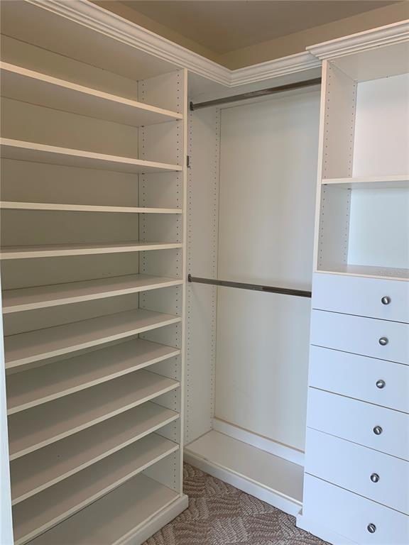 Building Photo - 345 Bayshore Blvd