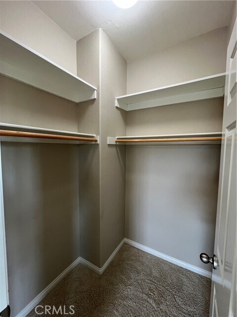 Building Photo - 2884 Bella Ct