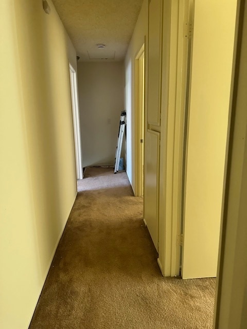 Building Photo - 215 Hudson S Ave