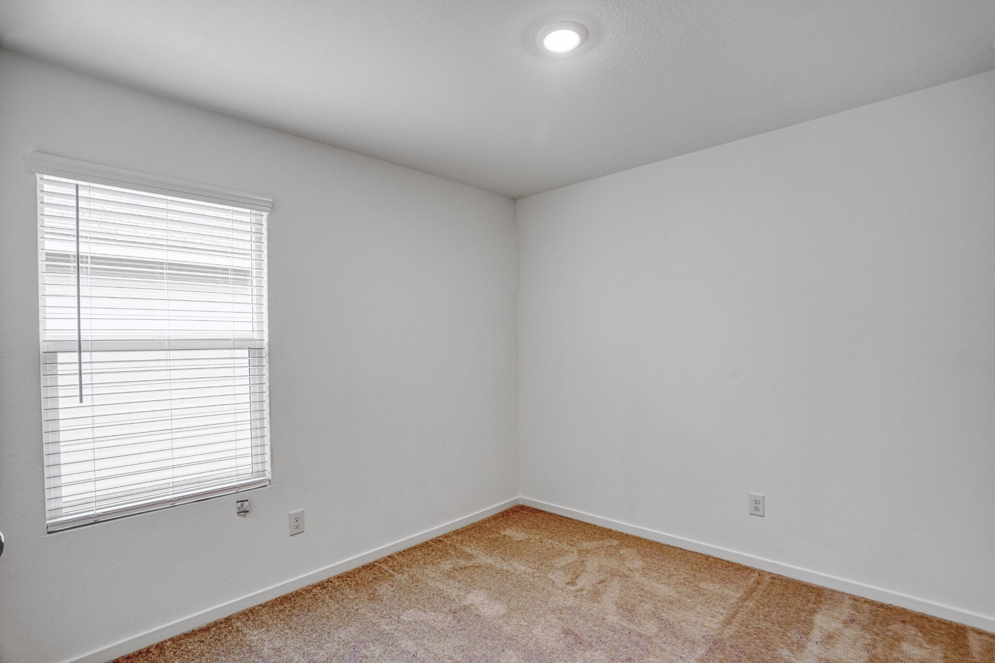 Building Photo - 803 Ginkgo Way