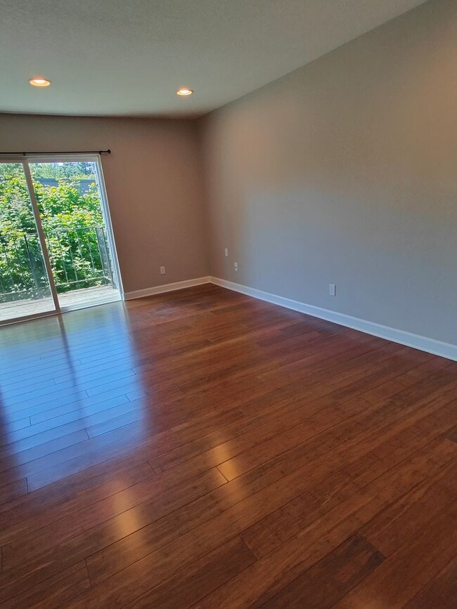 Interior Photo - The Woods