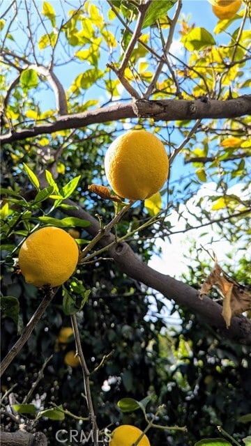 Building Photo - 1826 Front St