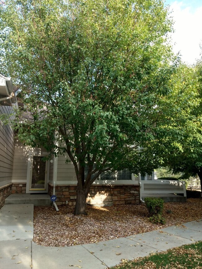 Building Photo - Magnificent and Spacious 2 bed/3 bath in G...