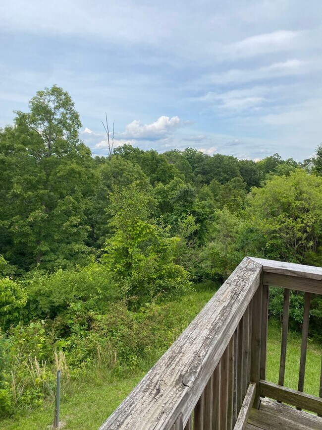 Building Photo - 22540 Hollow Oak Ln