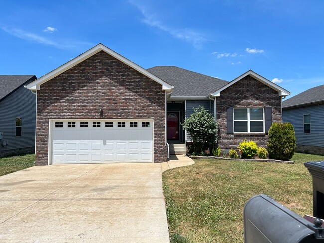 Primary Photo - Modern Ranch
