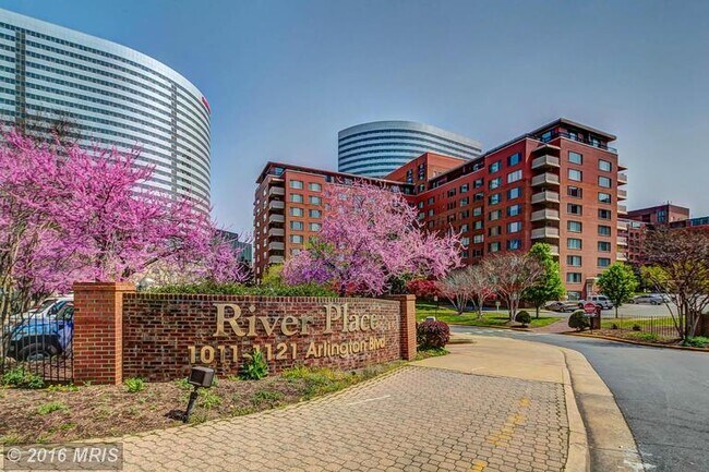 Building Photo - 1021 Arlington Blvd