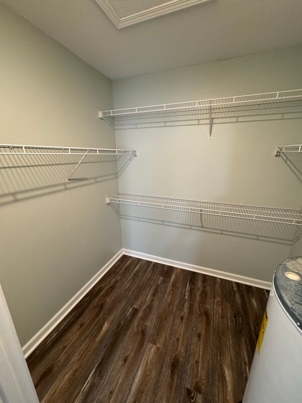 Building Photo - 113 Nanci Ln