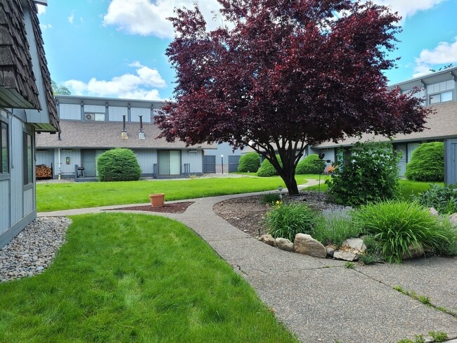 Building Photo - Alpine Square