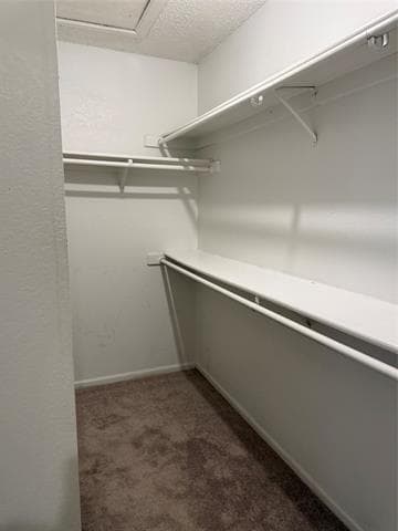 Building Photo - 307 Teakwood Ln